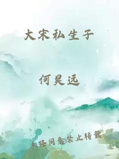 大宋私生子