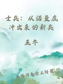 士兵：从诺曼底冲出来的新兵