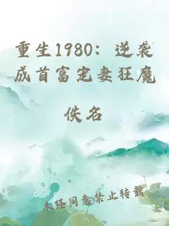 重生1980：逆袭成首富宠妻狂魔